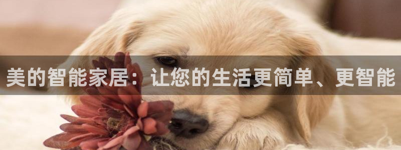 ug环球app下载