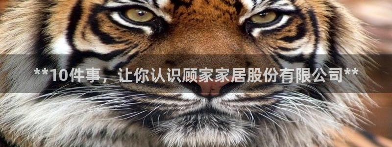 UG环球假网合作