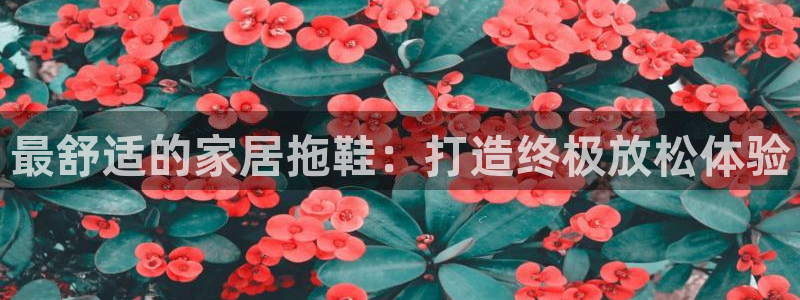 ug环球360代理