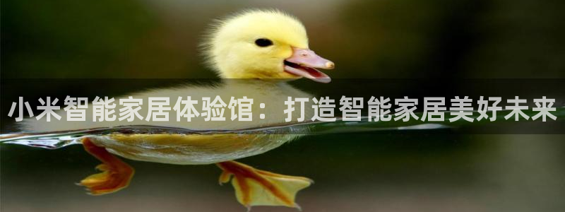 ug环球会员