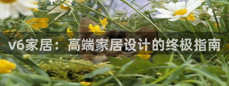 ug环球会员登录