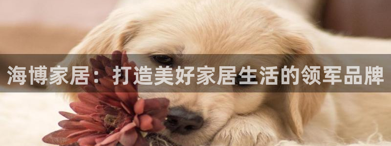 ug环球会员