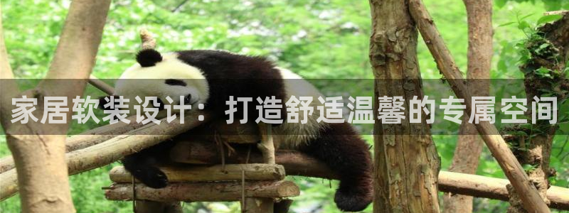 ug环球官网注册会员登录
