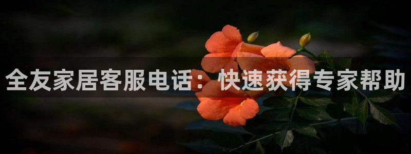 ug环球视讯官网