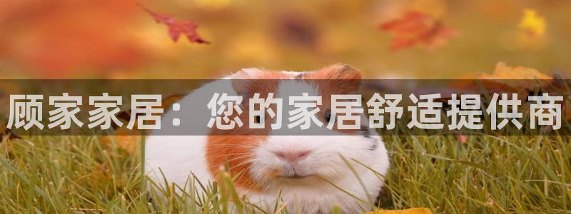 ug环球代理合作