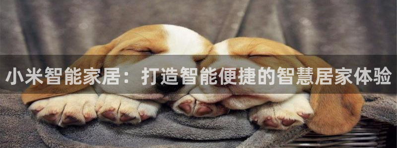 ug环球官网会员