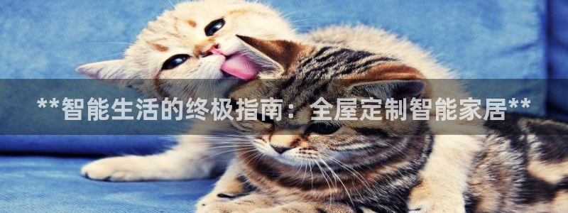 ug环球360官网