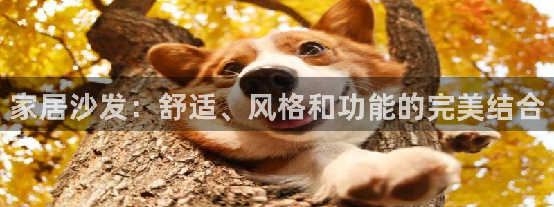 环球ug官网