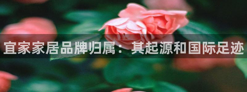 ug环球假网一比一