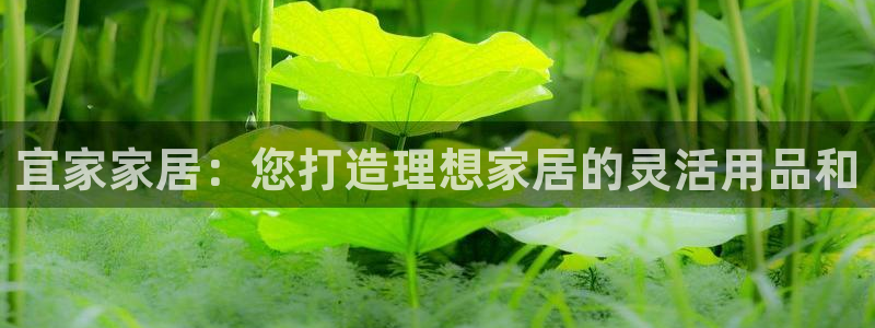 ug环球代理