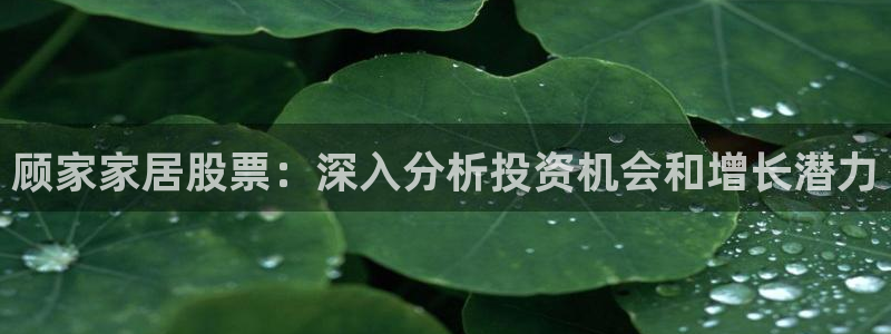 UG环球视讯