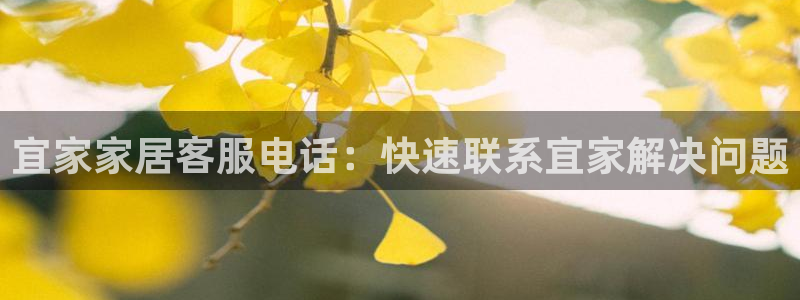 ug环球代理加盟