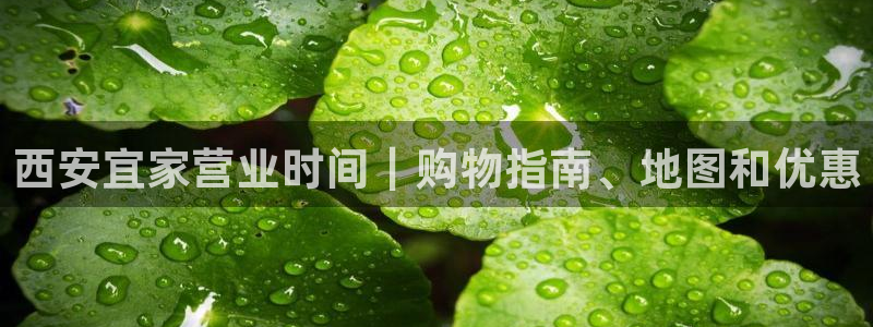 ug环球官网