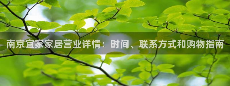 ug环球买代理