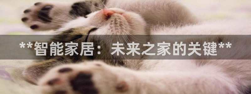 ug环球买分卖分
