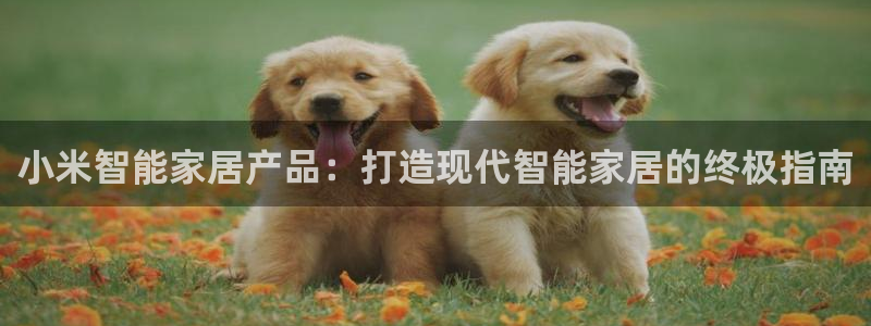 ug环球正网一比一
