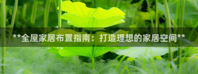 ug环球买代理