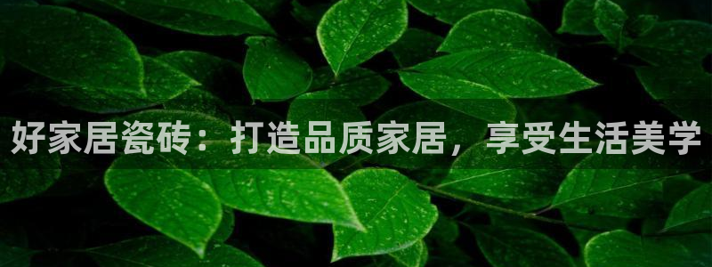ug环球xkk908搜徽