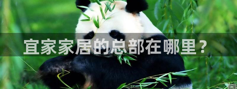ug环球找唯xkk 908