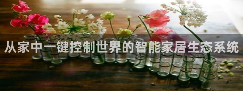 ug环球买代理