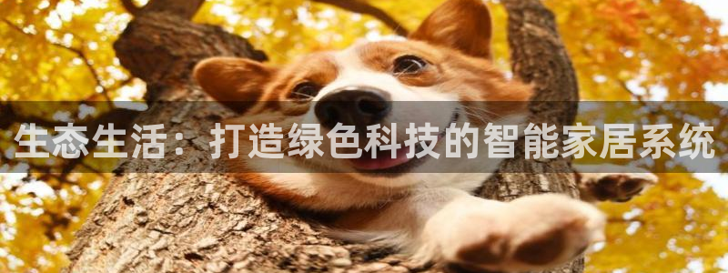 ug环球代理平台
