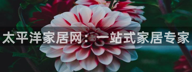 ug环球国际官网