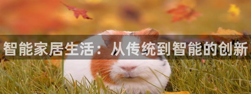 ug环球代理