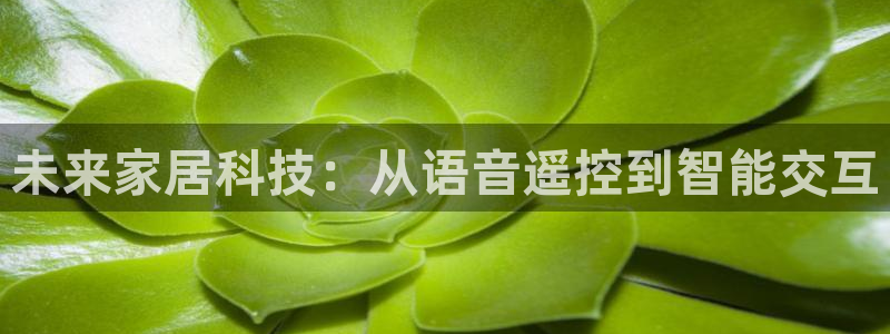 ug环球会员官网