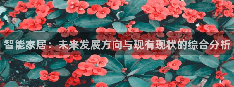 Ug环球私网一比一