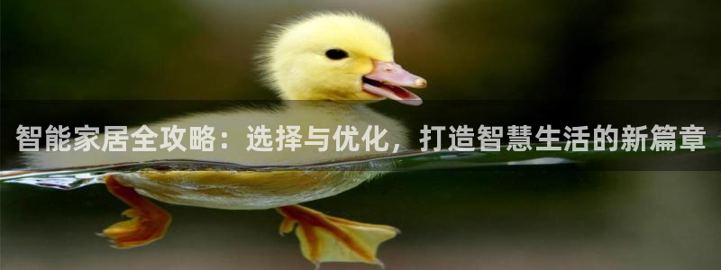 UG环球代理合作
