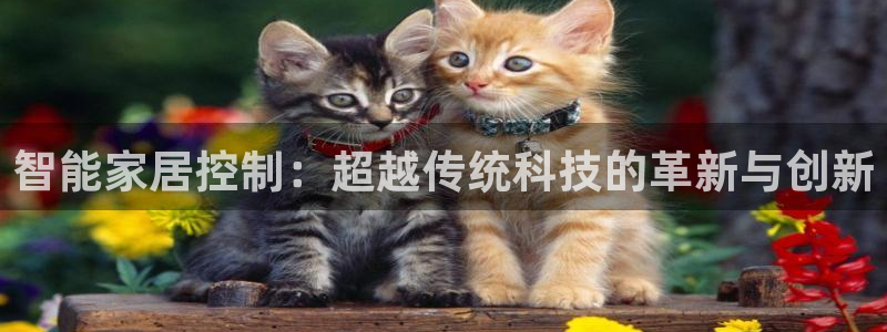 ug环球代理