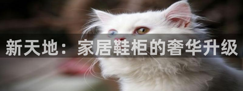 环球ug官网