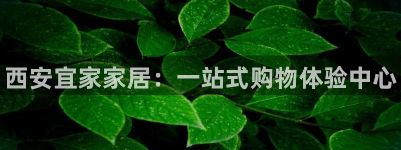 ug环球代理合作